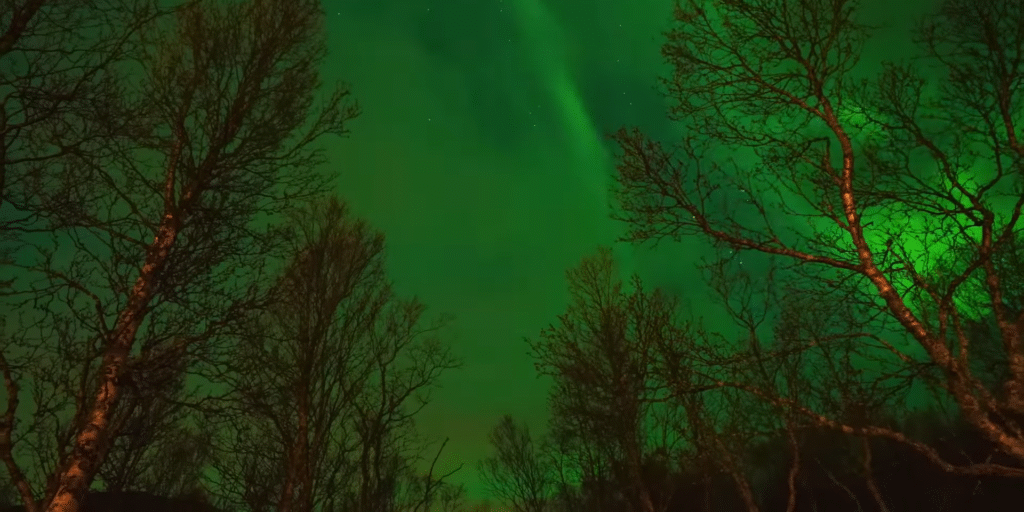 Northern Lights tonight Virginia